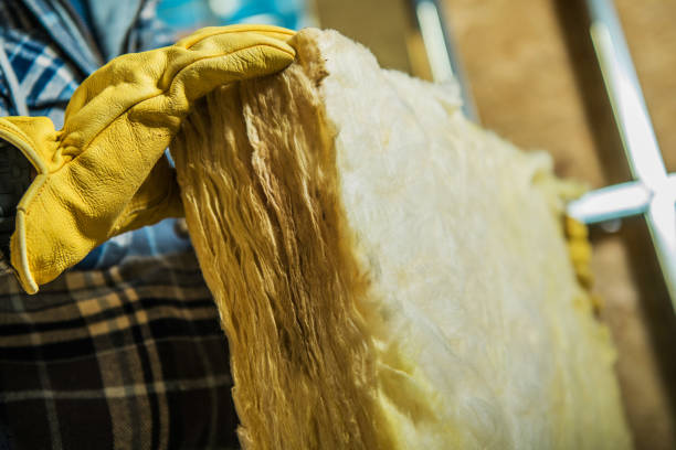 Best Insulation Maintenance and Repair in Macon, GA
